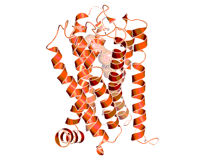 Crystal structure of human 5-HT2C