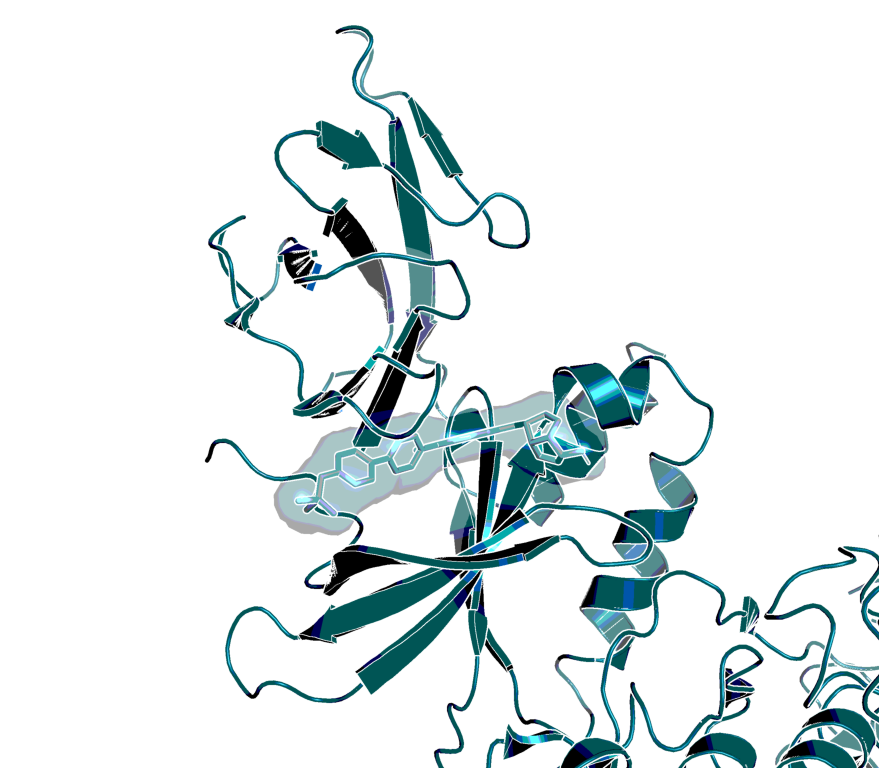 AMPK 3D structure