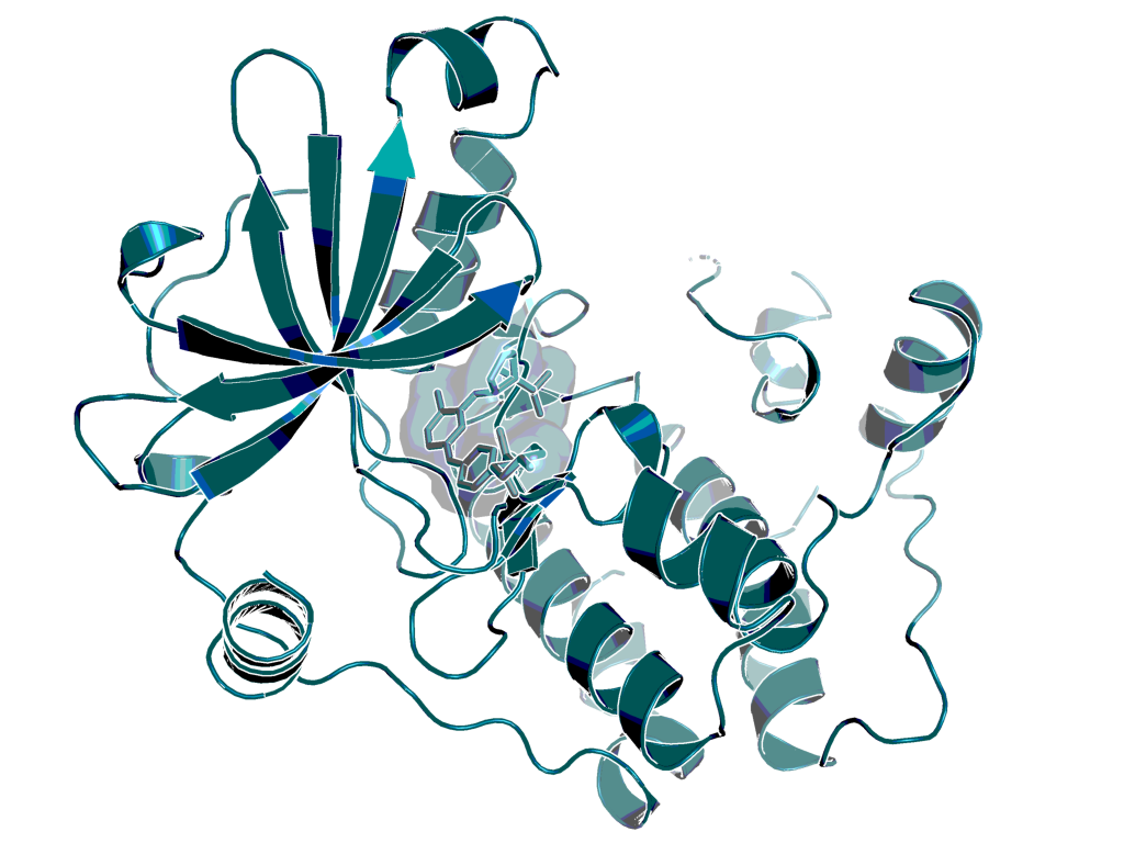 BI 831266 bound to Aurora B, as observed by X-ray (structure solved at Boehringer Ingelheim)