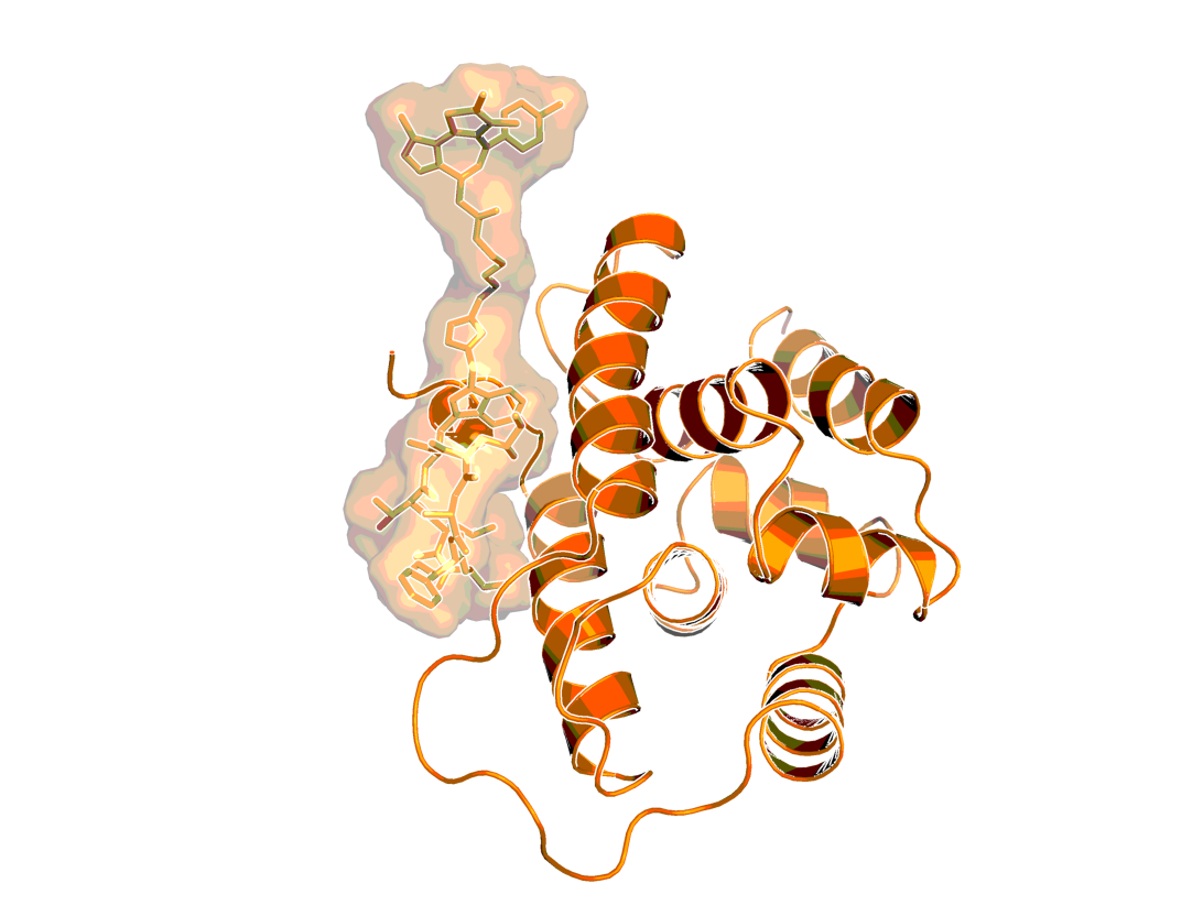 Model of a complex of ClpC1 with BI-8225