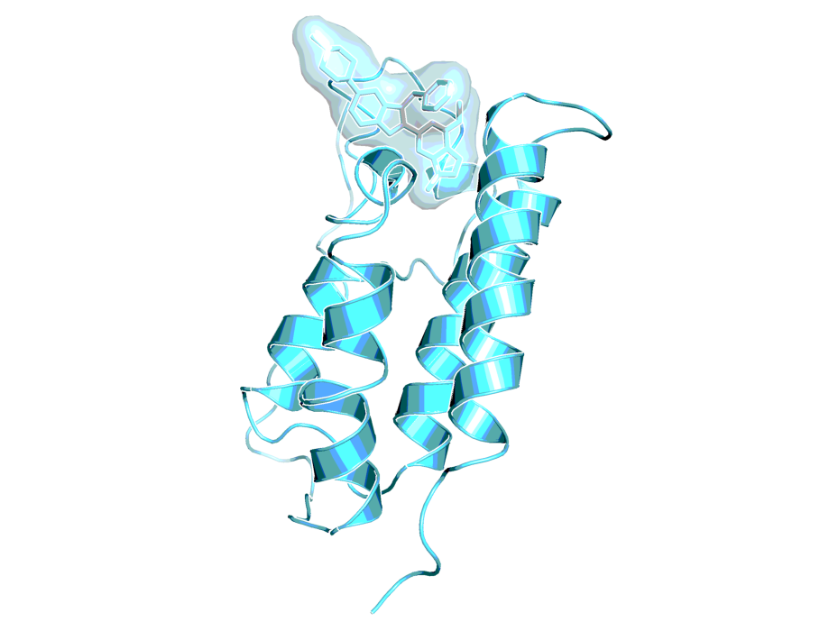 X-ray of BI 894999 in BRD-BD1