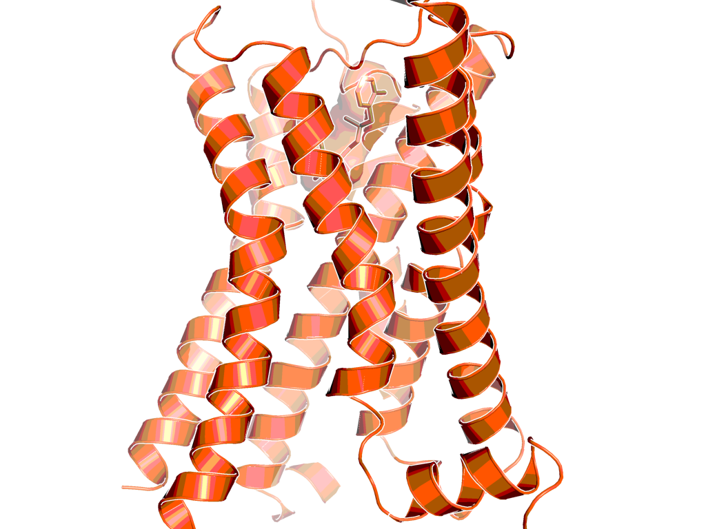 Human beta2 adrenoreceptor in the active state