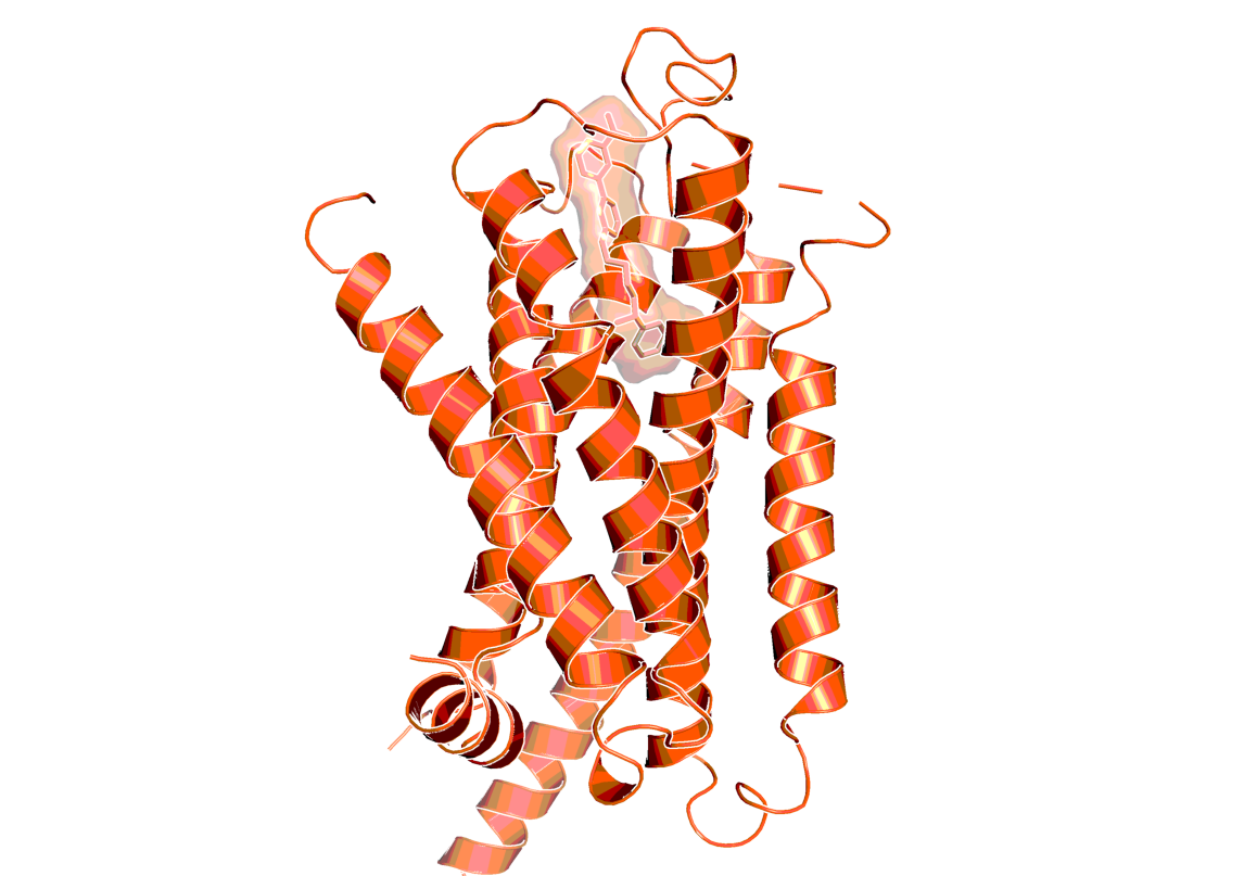 X-ray structure of the dog beta-3 adrenergic receptor with solabegron