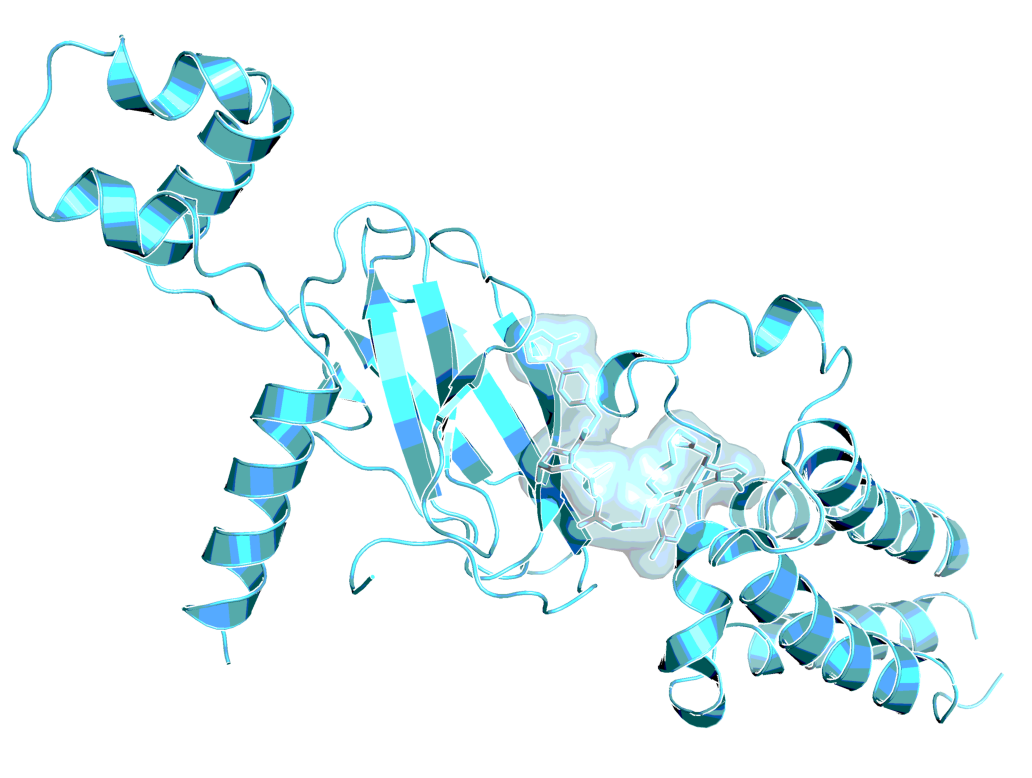 MZ1, 3D conformation, as observed in complex with BRD4 bromodomain and VHL (PDB 5T35)