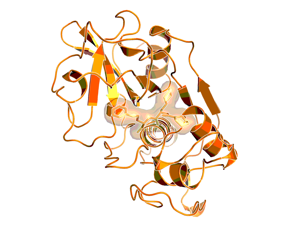 Human Cathepsin S in complex with an analog of BI-1124 (PDB Code 2R9M)<sup>1</sup>