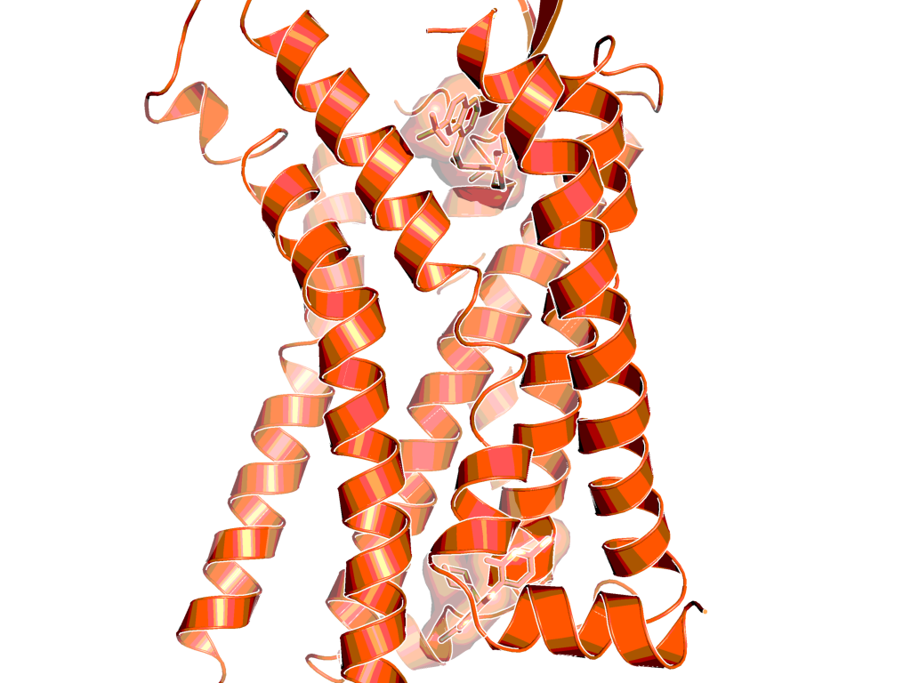 Complex of human CCR2 with orthosteric and allosteric antagonists (PDB code: 5t1a)