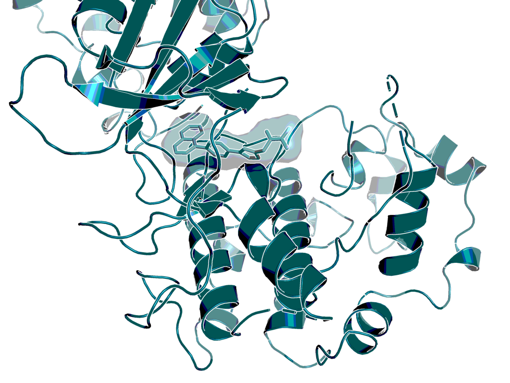 CDK8 in complex with inhibitor BI-1374 (X-ray structure solved at Boehringer Ingelheim)