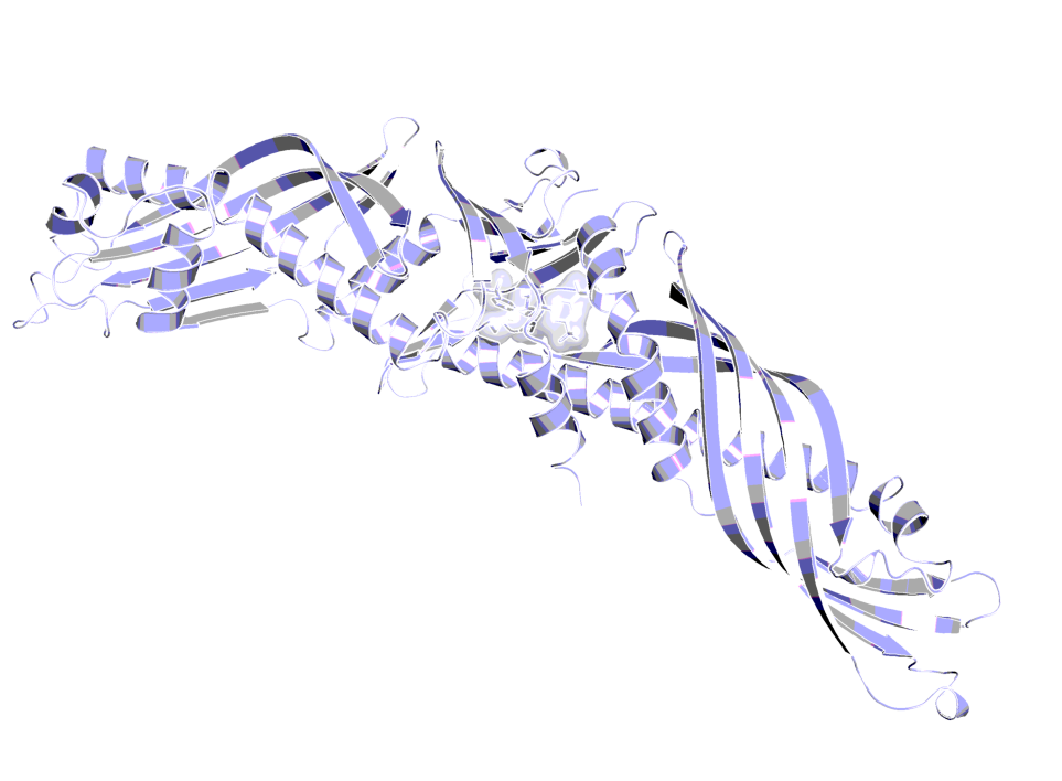 X-ray structure of CETP with the inhibitor torcetrapib bound