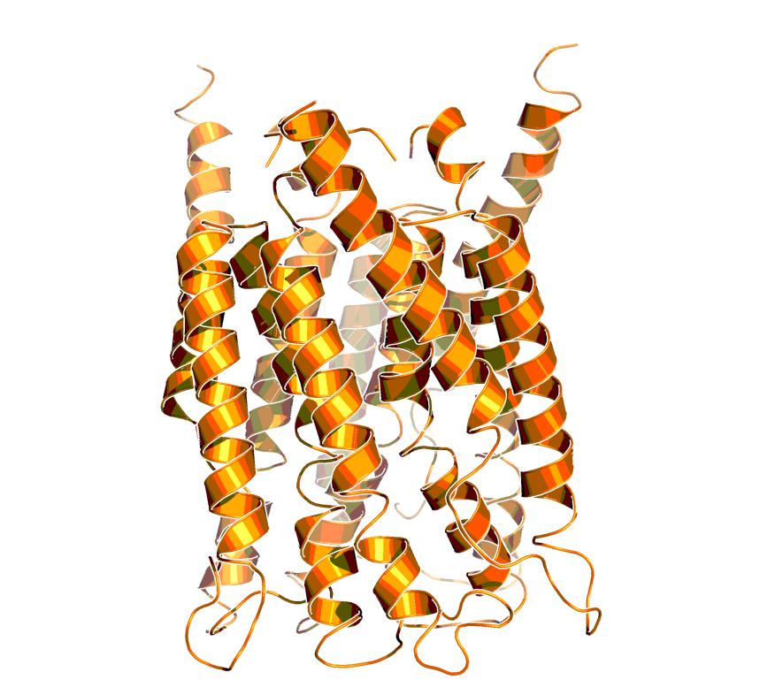 Human FLAP in complex with leukotriene synthesis inhibitors (PDB code: 2q7r)