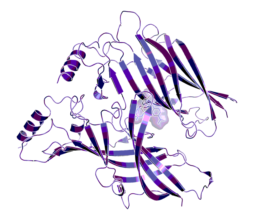 Model of the complex of BI-1030 bound to the interface of the alpha5 and the gamma2  GABAA receptor subunits (only extracellular domains shown).