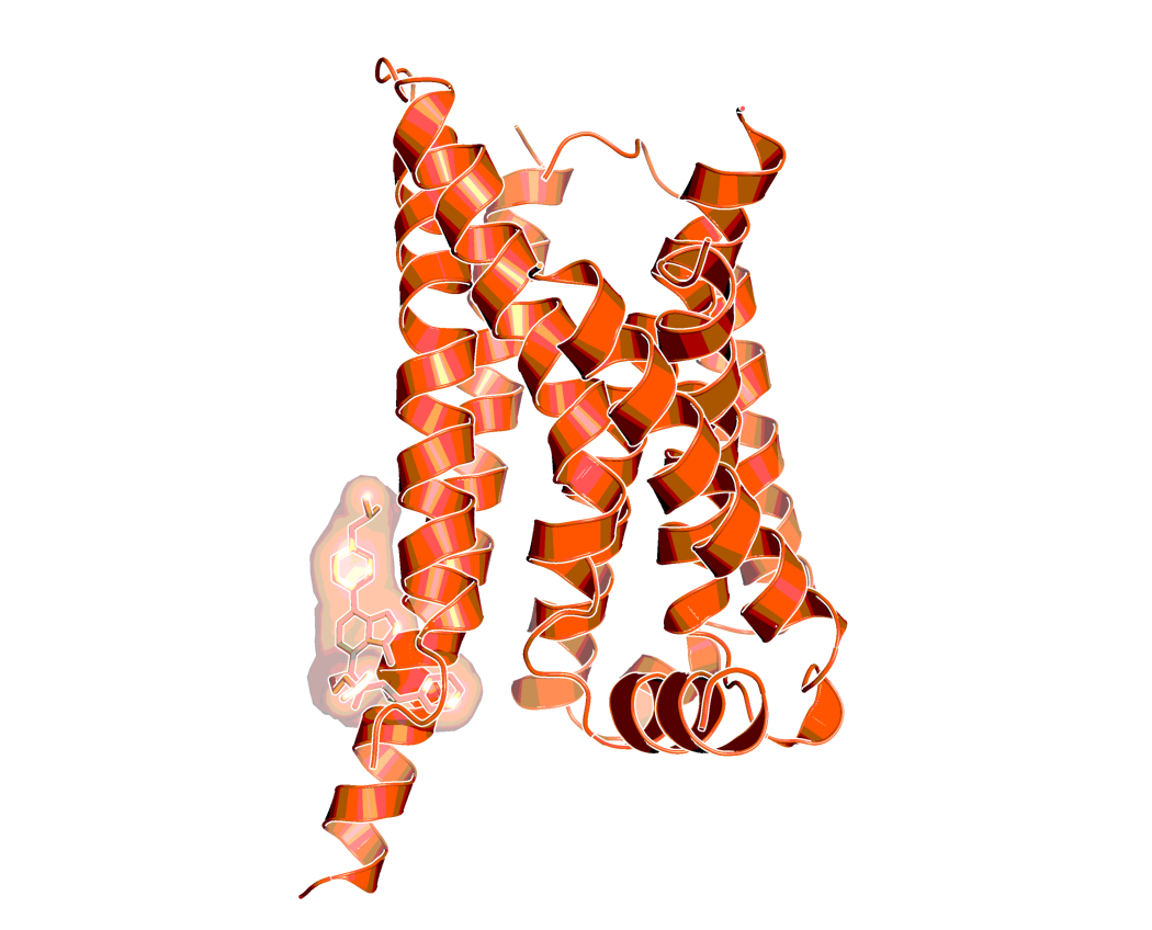 Model of the complex of GPR88 with BI-9509, based on 7EJX.pdb9