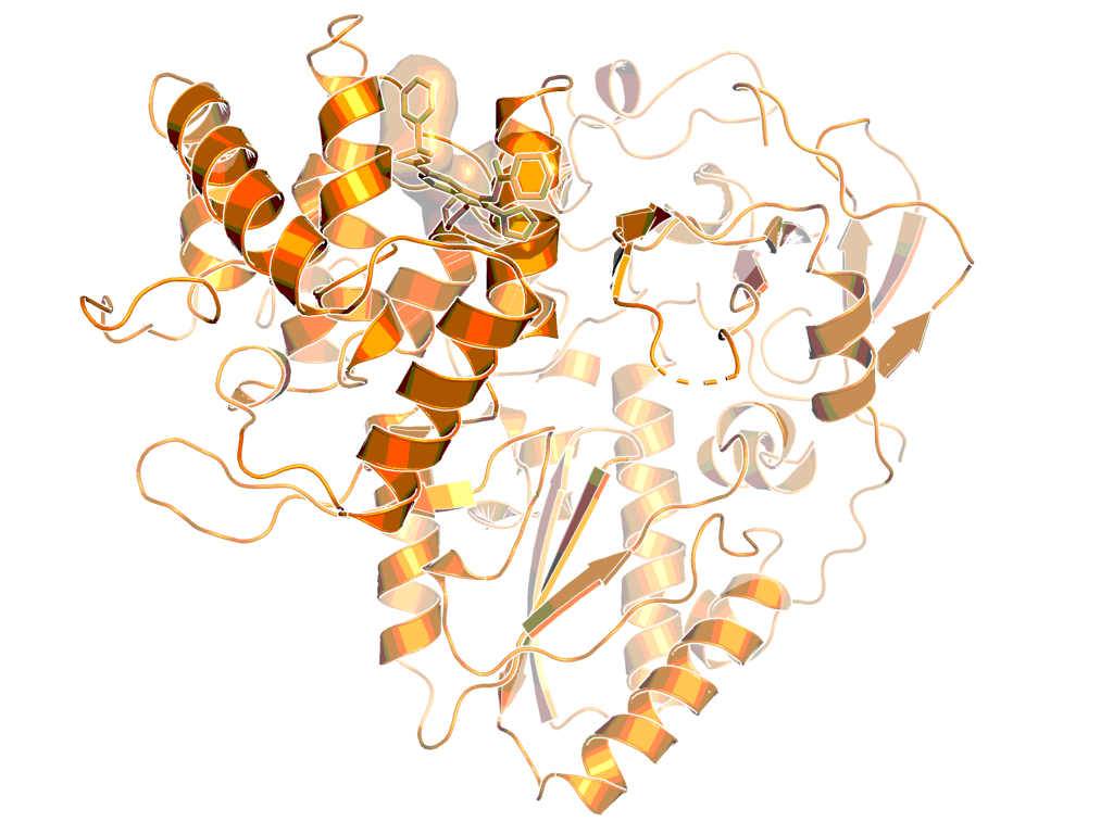 Hepatitis C virus polymerase in complex with an inhibitor bound to thumb-domain pocket 1 (PDB code: 4gmc)