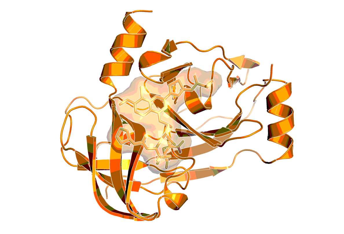 X-ray structure of HCV NS3 protease with faldaprevir (BI 201335) (PDB code: 3p8n)1