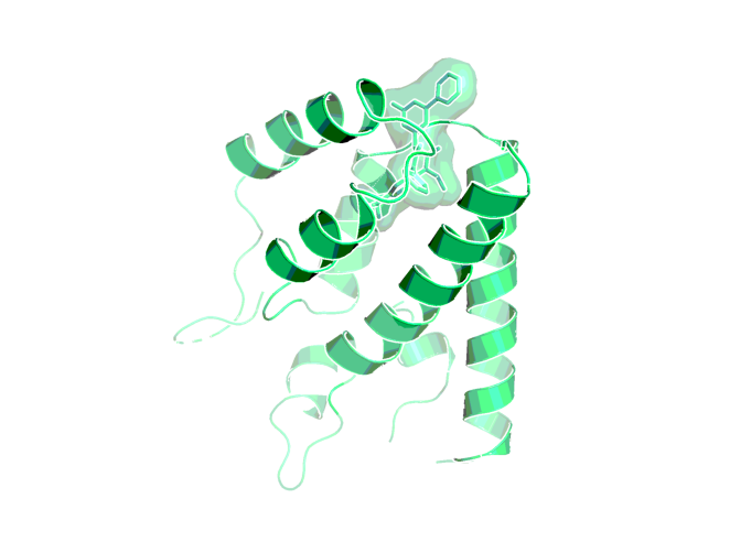 Complex of a compound highly related to BI-3257 with the N-terminal domain of the capsid monomer (PDB code: 4E91)