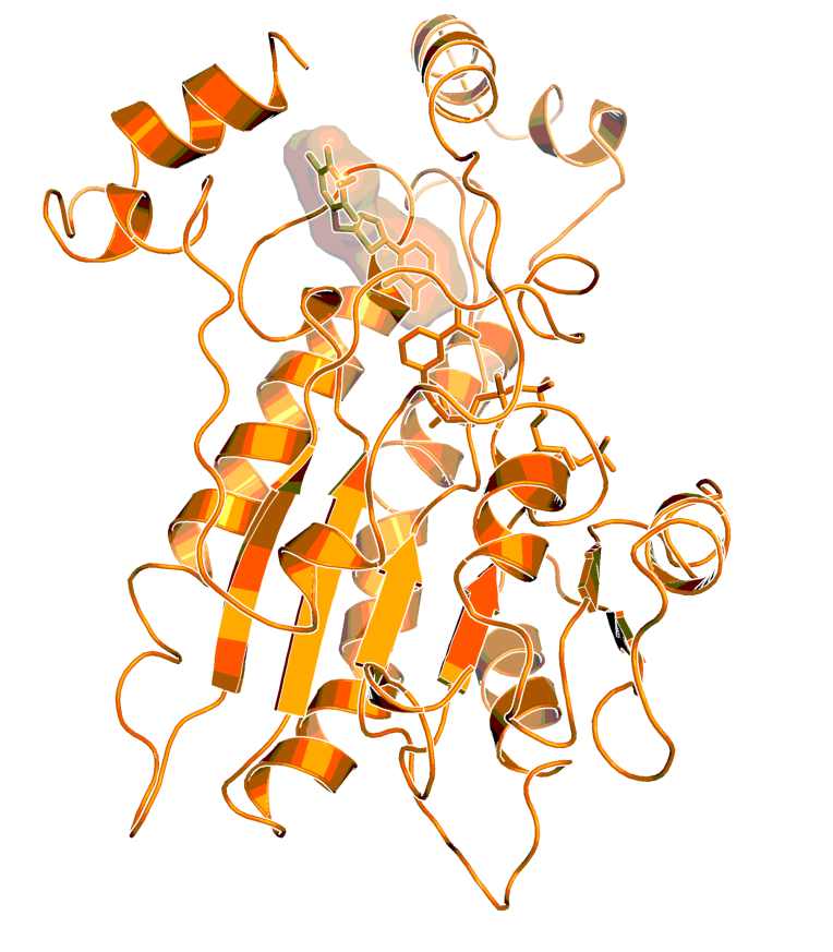 Binding model of BI-3231 in HSD17B13