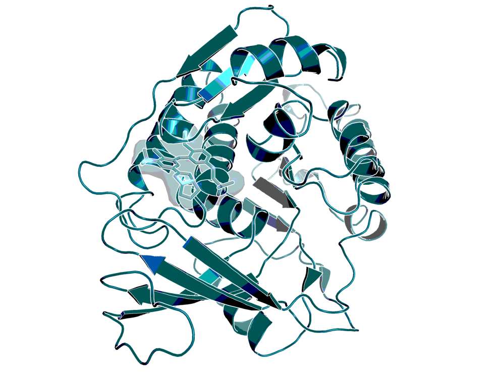 X-ray structure of a close BI-9787 analog 