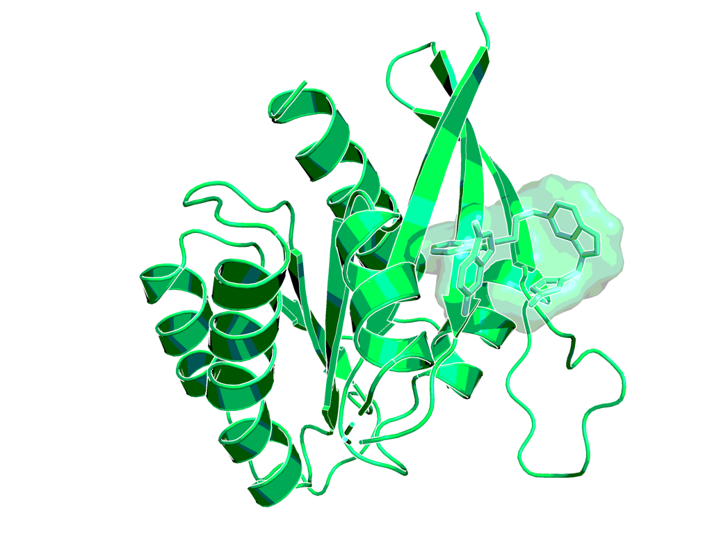 Complex of KRAS with BI-2852