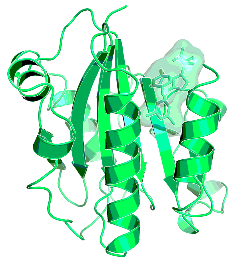 X-Ray structure of LFA-1 with an analogue of BI-1950 (solved at Boehringer Ingelheim)