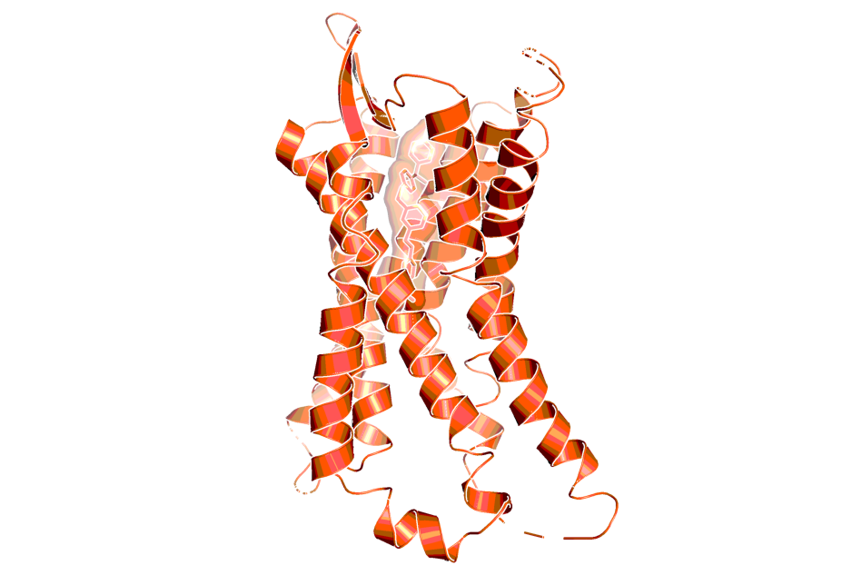 Crystal structure of LTB4 receptor with BIIL 260