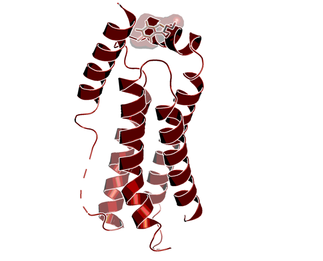 Complex of BI-8925 with MLKL