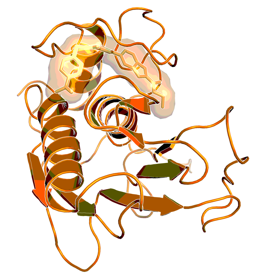 BI-4394 bound to MMP13, as observed by X-ray crystallography (PDB code: 5BPA) 