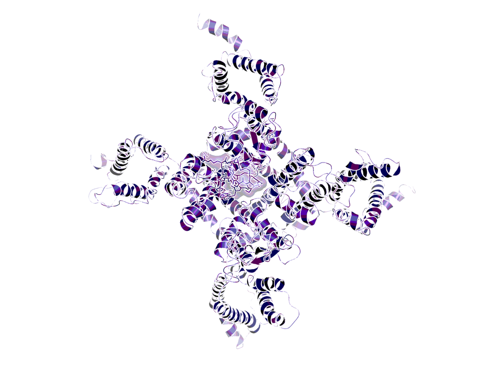 Cryo-EM structure of Nav1.2 in complex with cynotoxin KIIIA(X. Oan et al.).