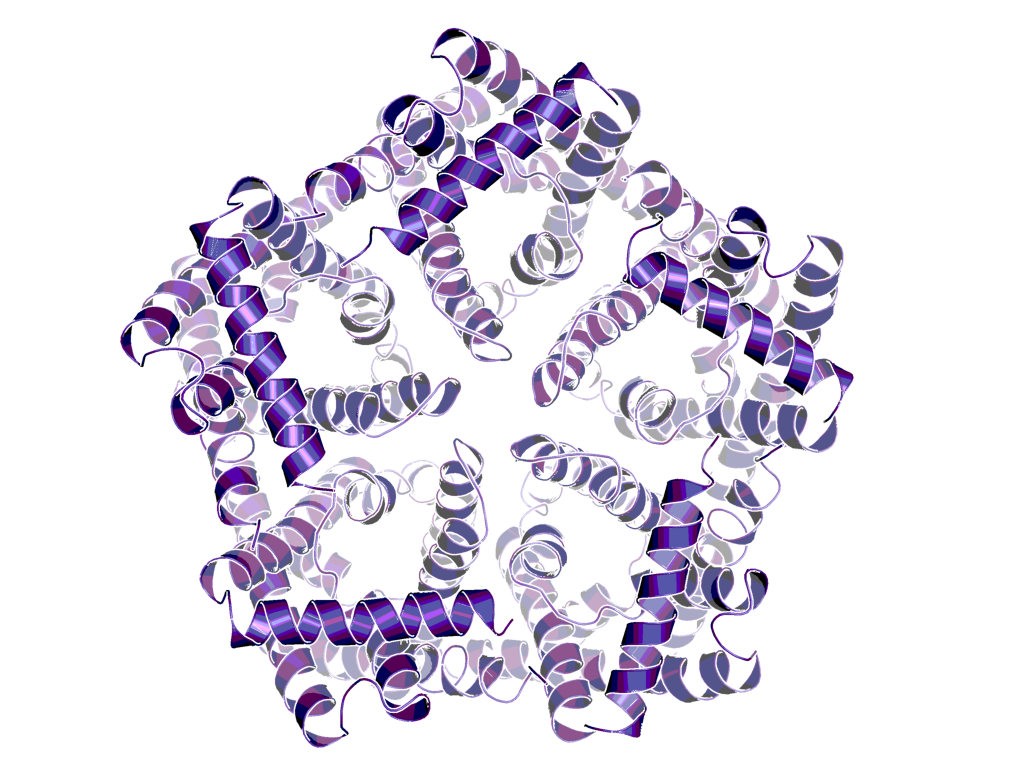 Structure of an ion channel (nitrate channel from Salmonella typhimurium, PDB code: 4FC4)