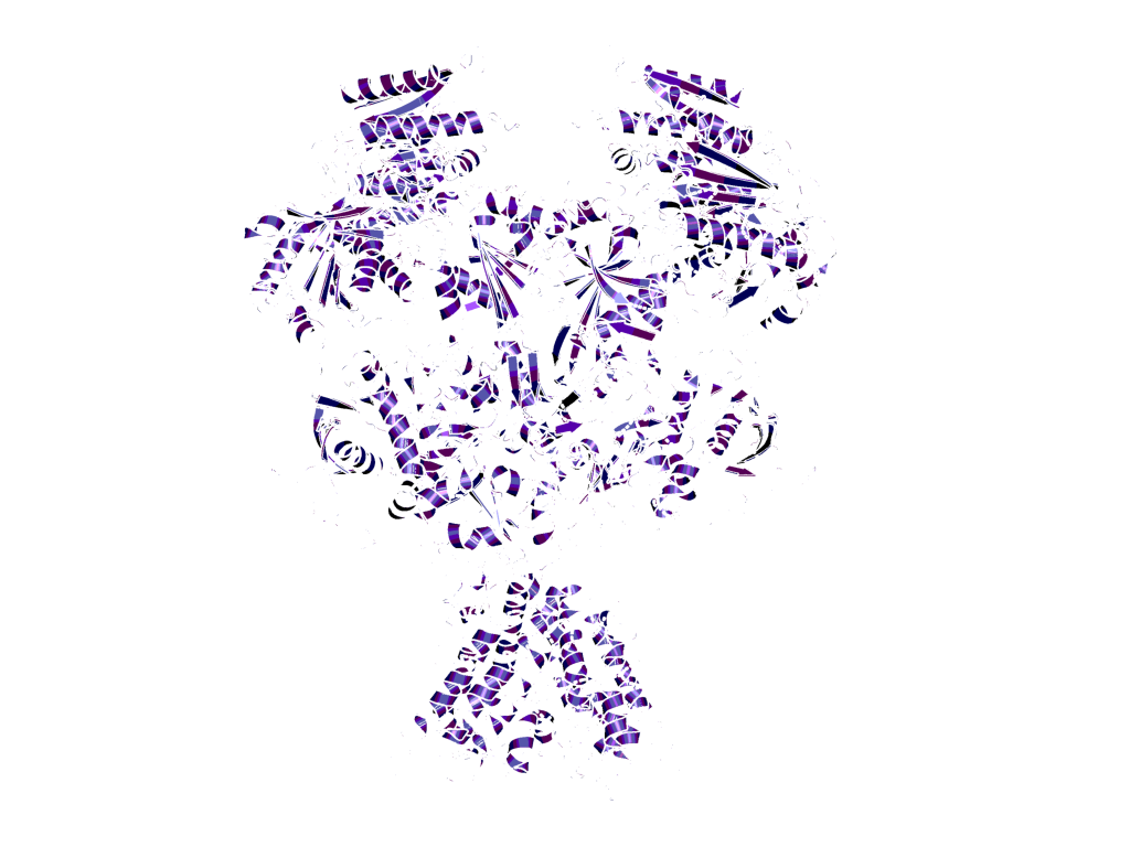 Structure of the NMDA receptor from Xenopus laevis