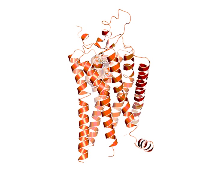 Crystal structures of NPY-Y1 complex with literature compound MK299 showing the location of the binding site