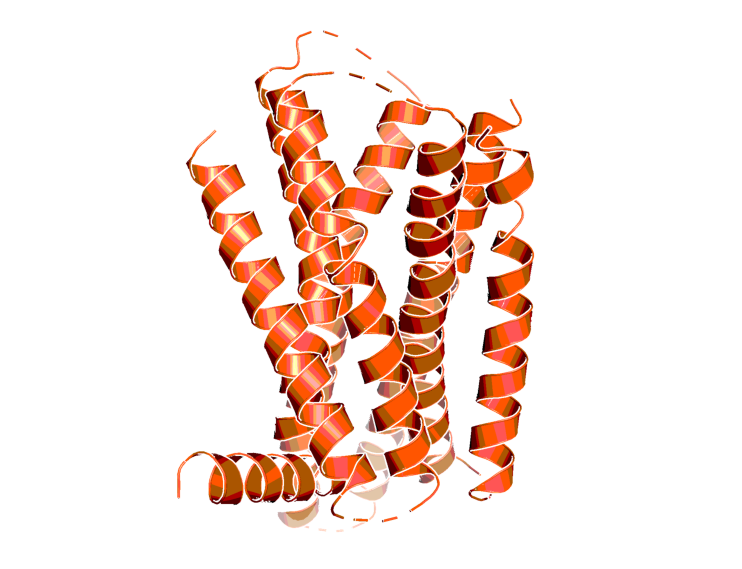 3-D structure of BIIE0246, a non-peptide NPY2R antagonist.