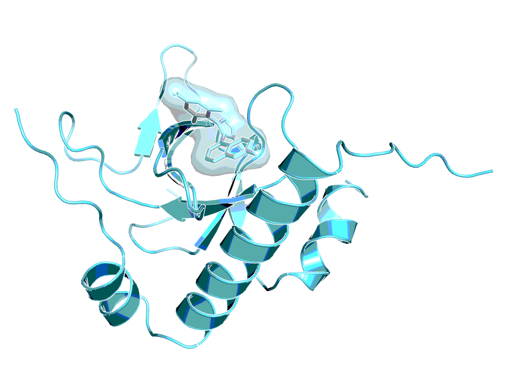 BI-9321 in complex with NDS3