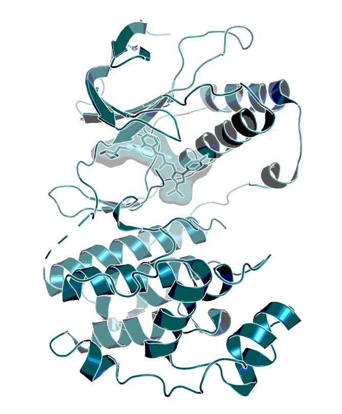  BIRB 796 in complex with p38 MAP kinase (PDB Code: 1KV2)