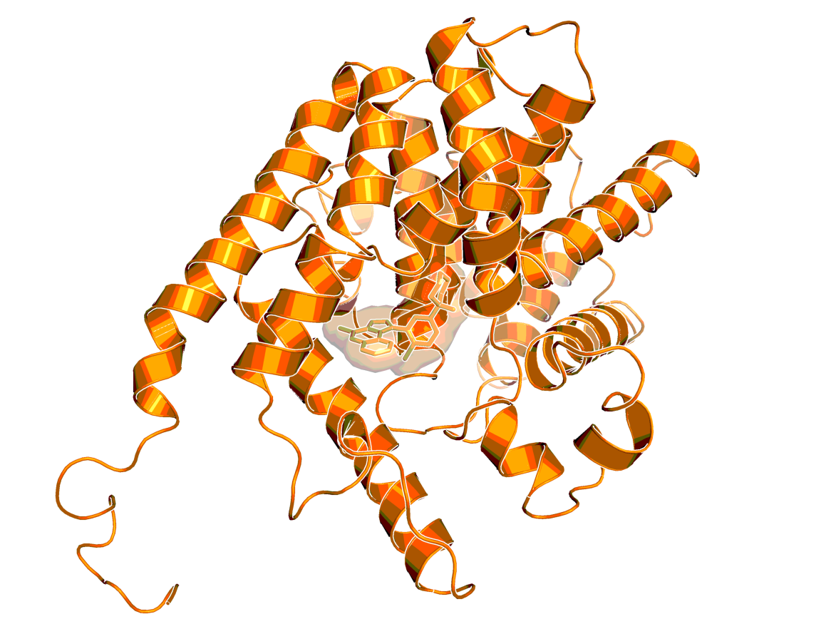 BI-1960 binding to the catalytic domain of PDE2