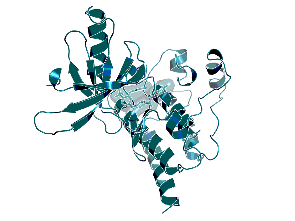 Structure of BI-4464 (ligand in BI-0319) bound to PTK2 (PDB ID 6I8Z)