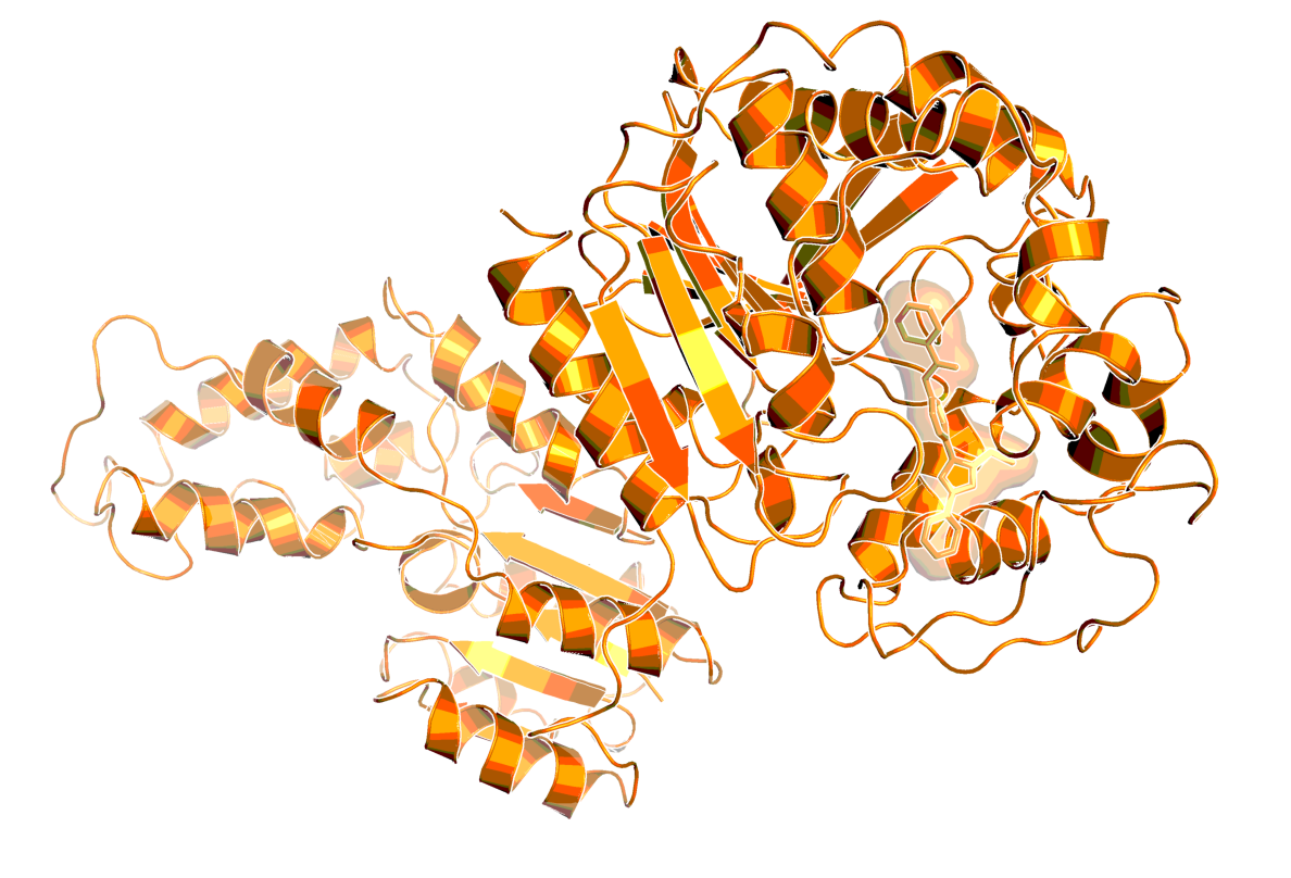 Human sEH in complex with a pyrazole agonist (PDB code: 3OTQ)