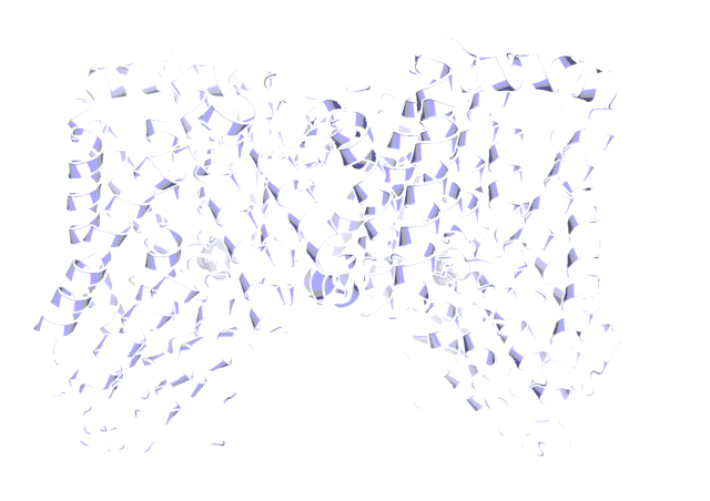 Structure of a SLC related to SLC13A5, as revealed  by X-ray crystallography (PDB code 5UL7)