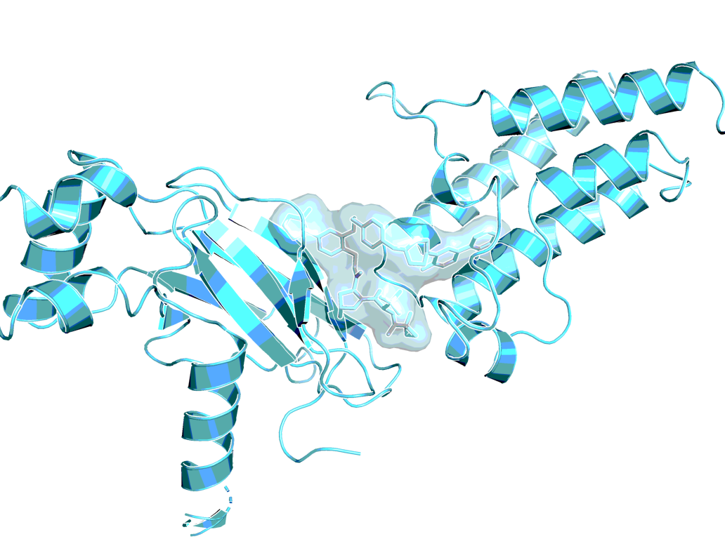 ACBI1 analog in ternary co-crystal structure of SMARCA2BD:ACBI1analog:VCB (PDB ID 6HAX)