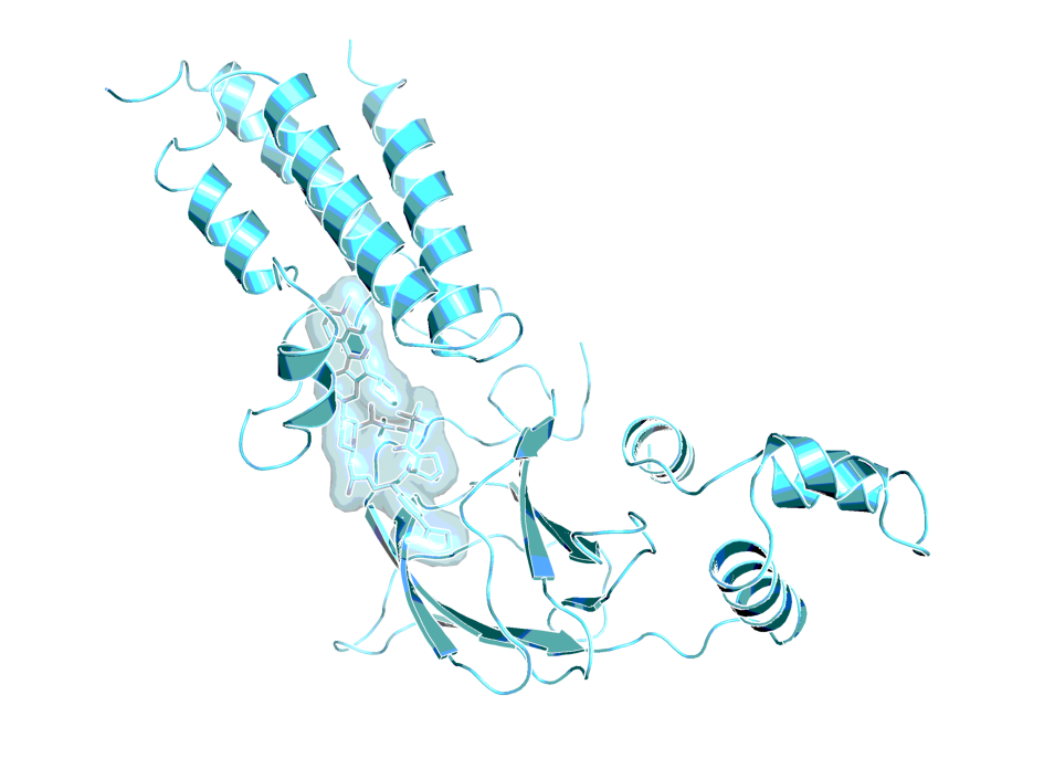 x-ray of close analog BI-2926 (PDB 7Z76) of ACBI2 forming a ternary complex between SMARCA2 bromodomain and VHL