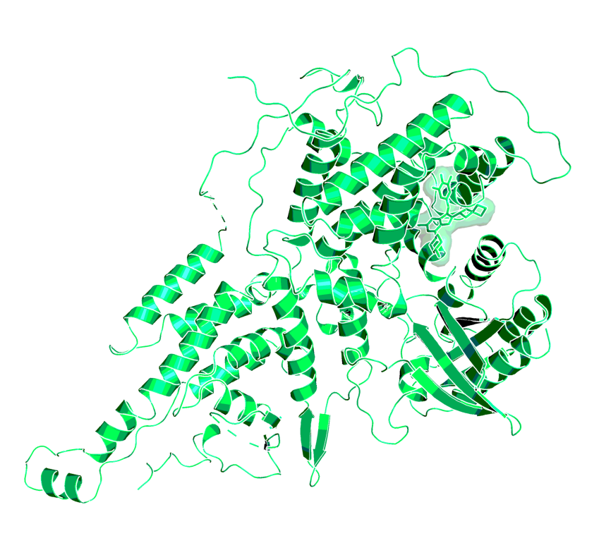 Xray crystal structure of a complex including HRAS,  SOS1, and VUBI1 (PDB code: 6D55)