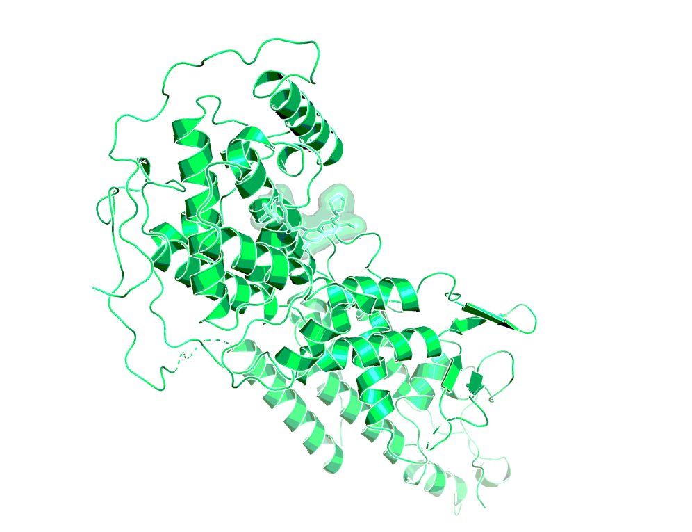 BI-3406 in complex with SOS1 (PDB code:6scm)