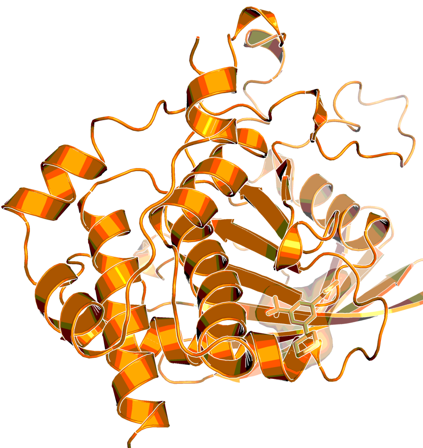 Figure 3: STEP structure and allosteric binding site with bound ligand (orange sticks). PDB code: 6H8S.