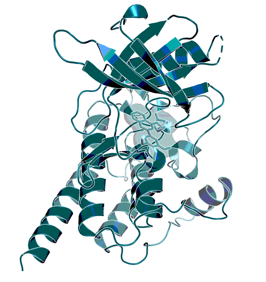 BI 1002494 in complex with SYK (X-ray structure solved at Boehringer Ingelheim)