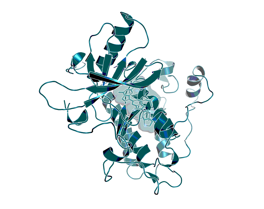 Model of the 3D structure of EGFR in complex with BI-4732, based on an in-house X-ray structure with a highly related inhibitor