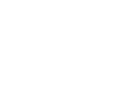 BI-0449, which serves as a negative control.