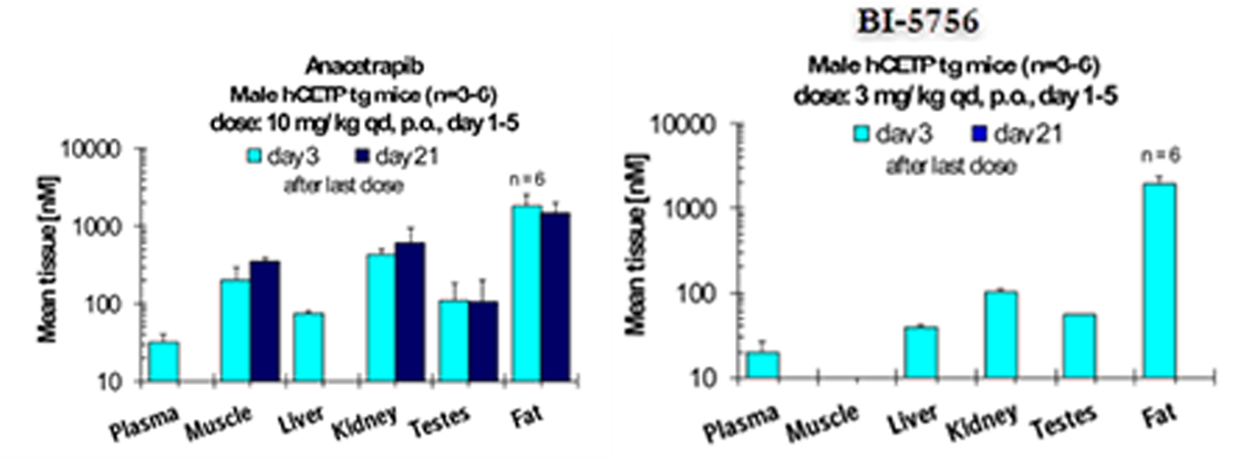 Target Exposure of anacetrapib and BI-5756 in different tissues of male hCETP transgenic mice