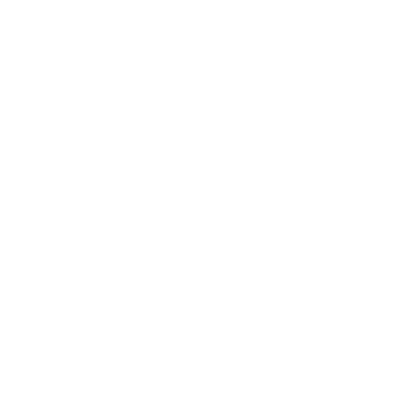 BI-0340 which serves as a negative control