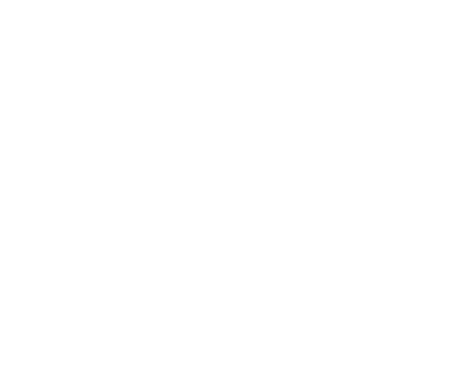 BI-9553  which serves as a negative control