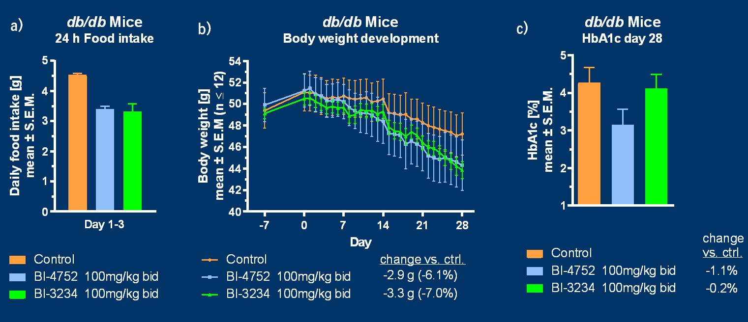 <i>in vivo</i> study in db/db mice