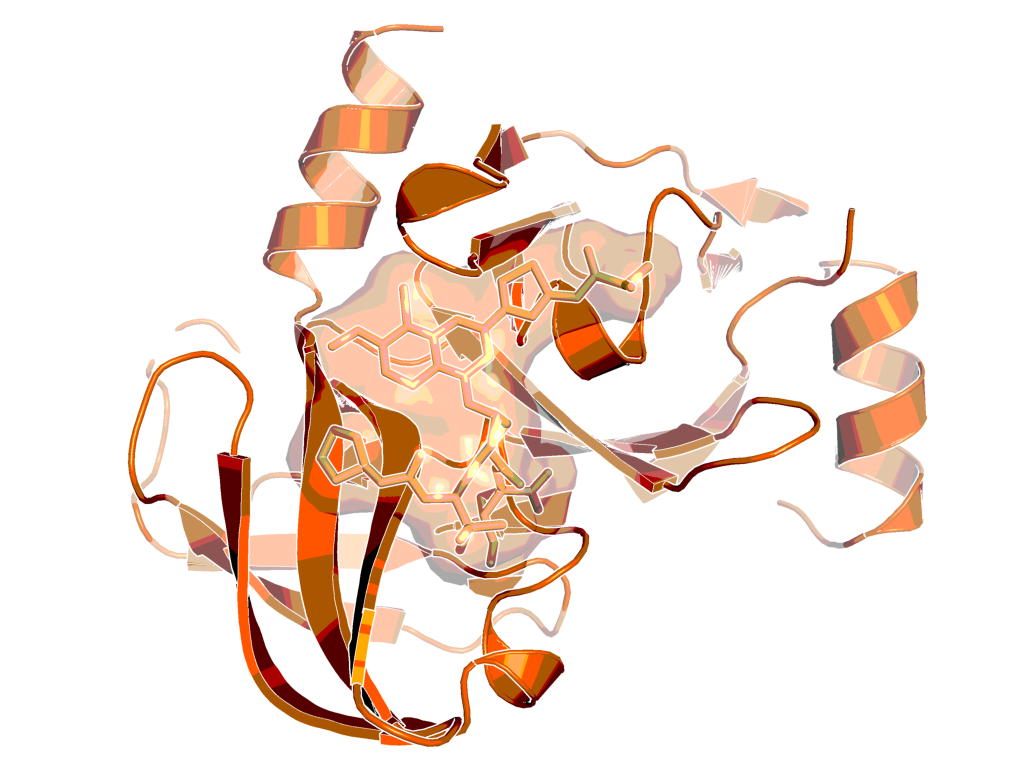 X-ray structure of HCV NS3 protease with BI 201335, a close analog of BI-1230 (PDB code: 3p8n)