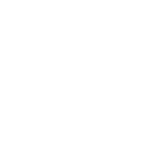 BI-2853  which serves as a negative control